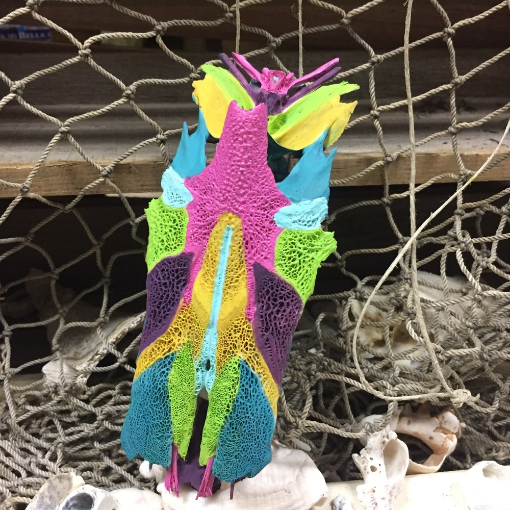 Hand Painted Crucifix Fish Skull Bone, Necklace